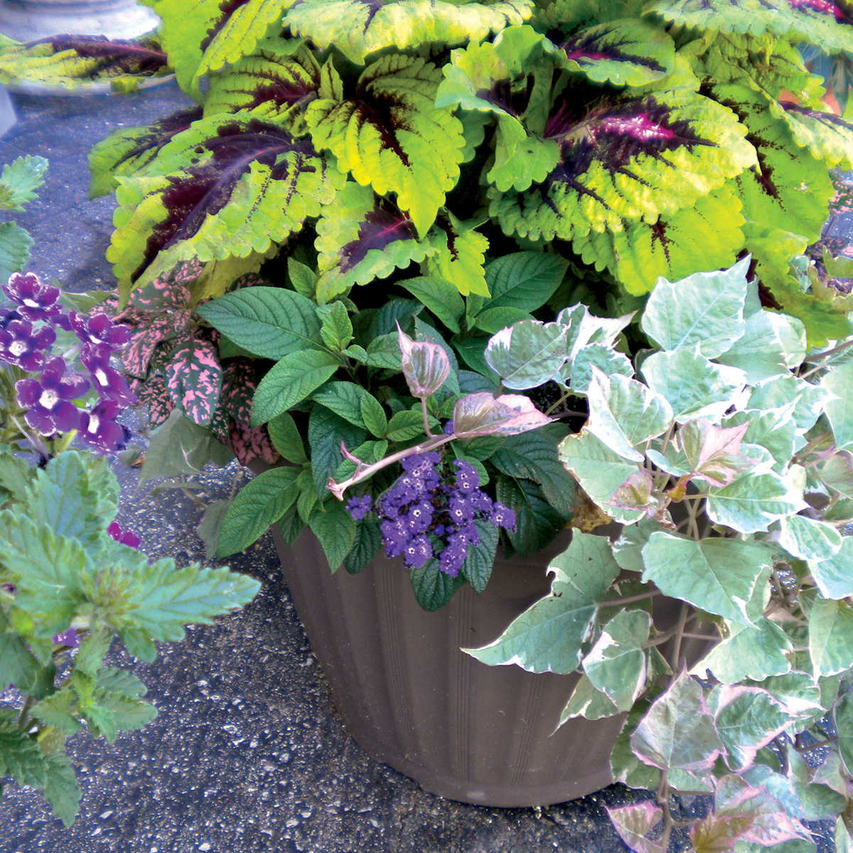 Decorative Planters